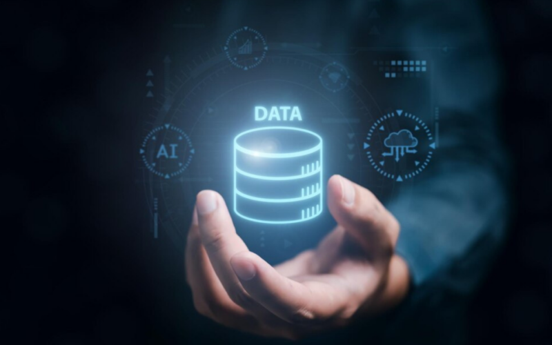 Best Database Management Options for 2025
