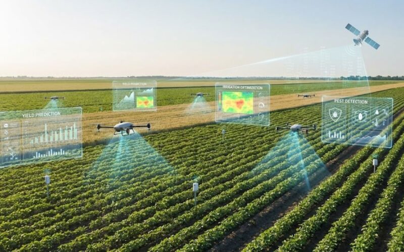 5 High-Impact Applications of Machine Learning in Agriculture You Should Know