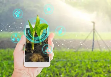 Future_of_Agriculture_Technology_Market_2019-2025_Scrutinize_in_Growth_Smart_Farming_Techniques